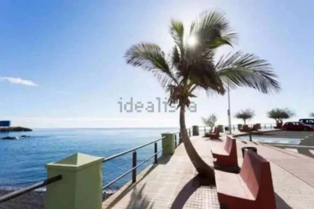 Estudio Completo Piscina Y Playa En Candelaria Tenerife Spain